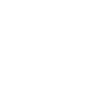 Information System Audit